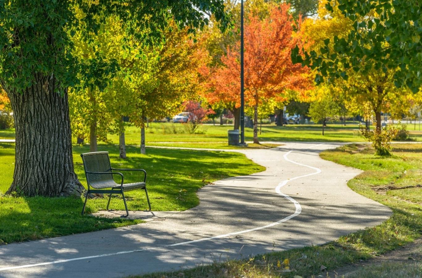 A walking trail through the trees in Denver's Lincoln Park neighborhood.