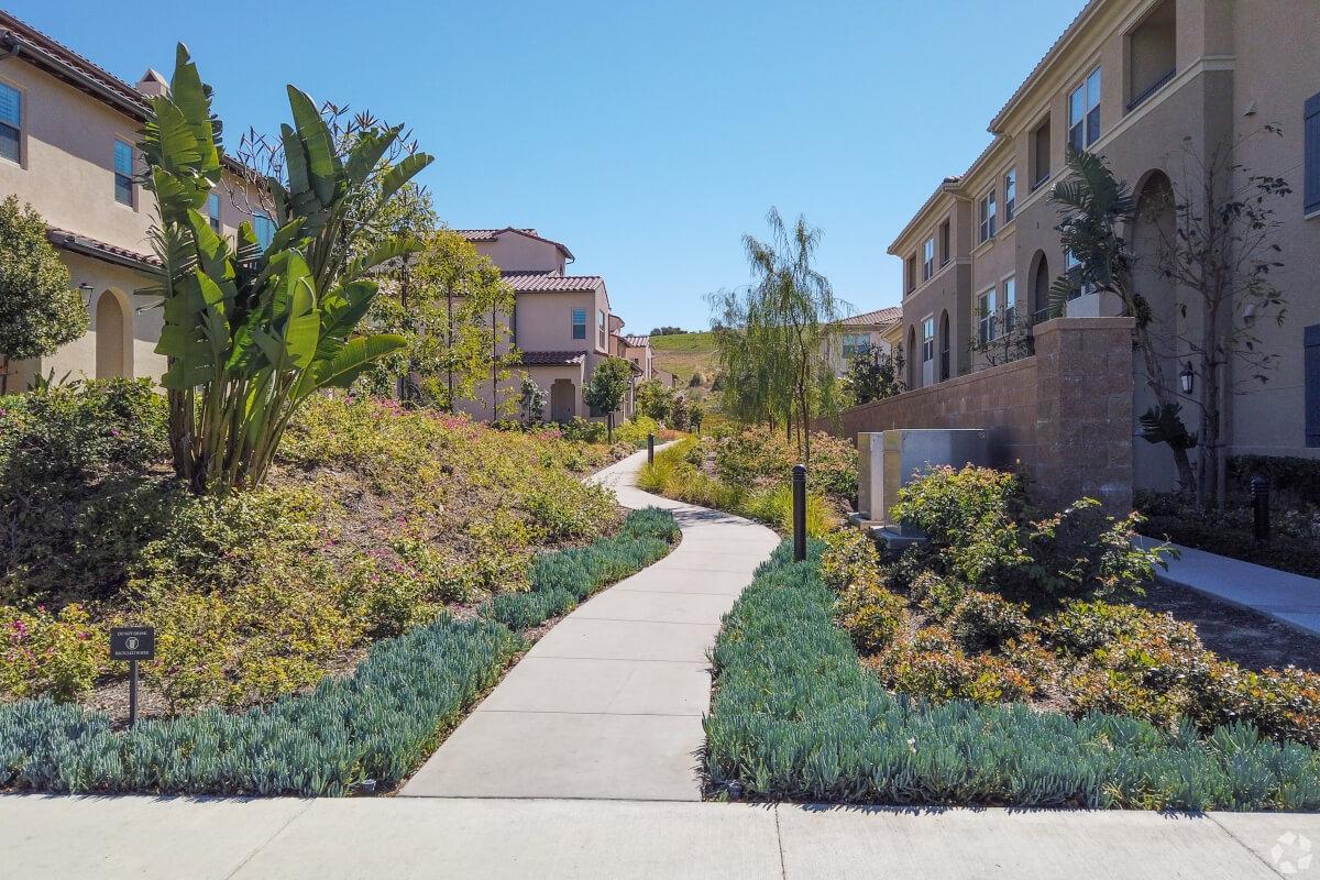 Sidewalk between rows of houses