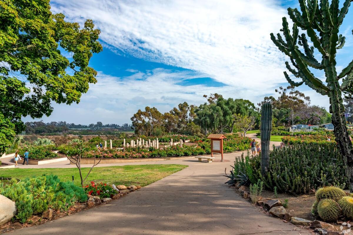 Path in Balboa Park, San Diego CA.