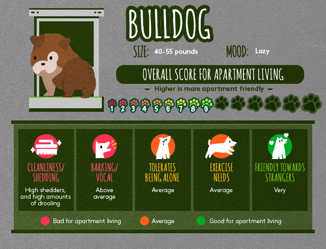 Bulldog info about apartment living.