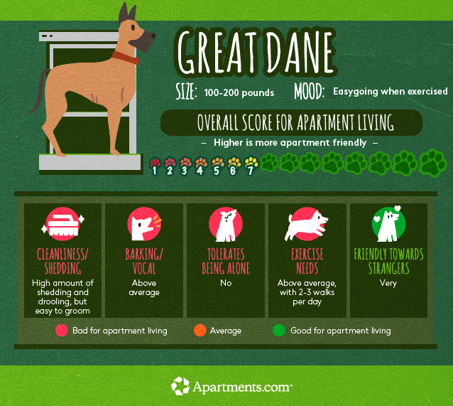 Great dane info about apartment living.