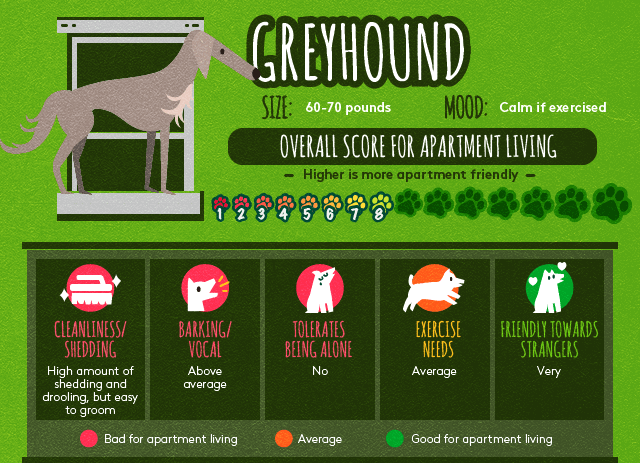 Greyhound info about apartment living.