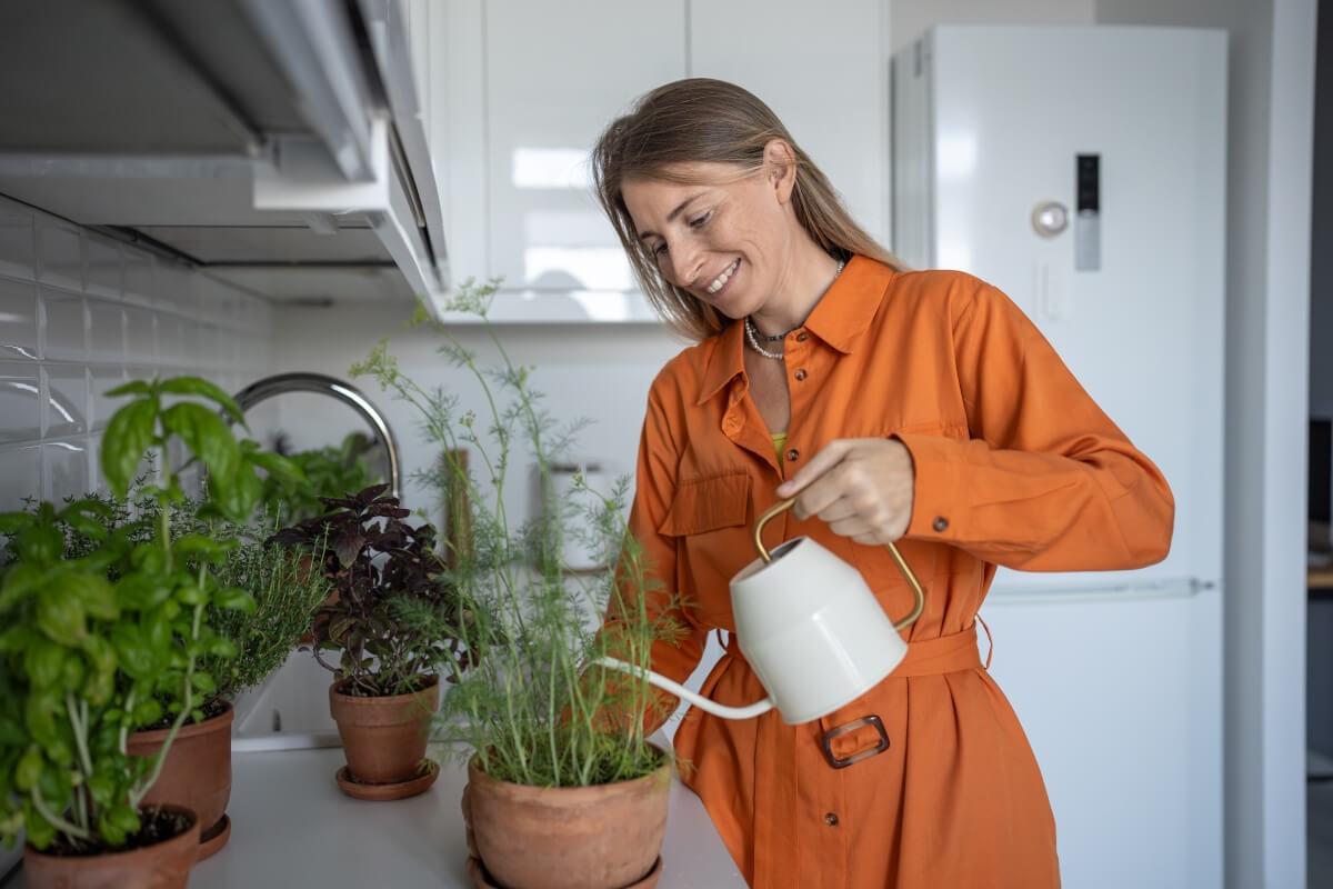 Woman watering indoor herbs in pots.