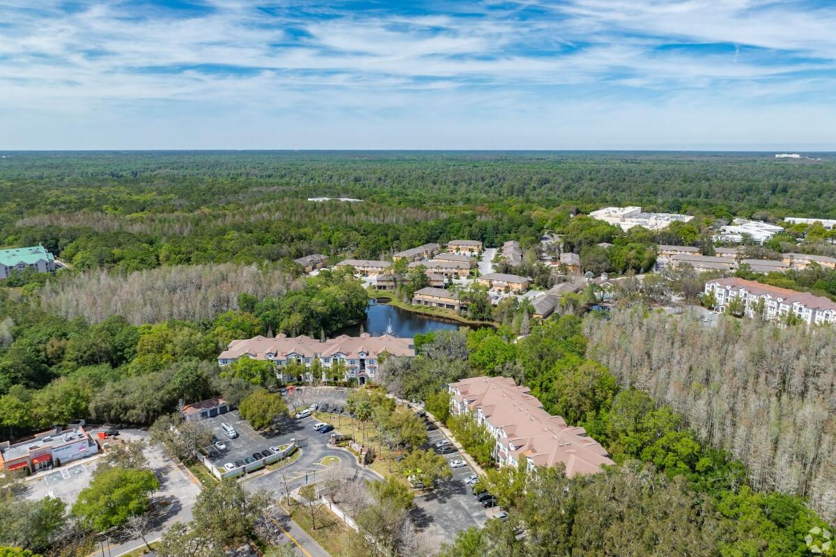 New Tampa is mainly forests with some buildings and apartments sprinkled in.