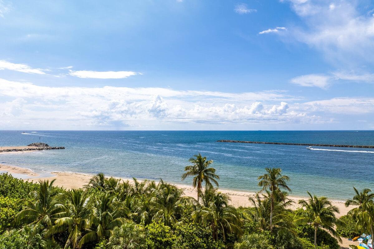 An aerial view of the beach at Harbour Isles of Fort Lauderdale from behind palm trees.