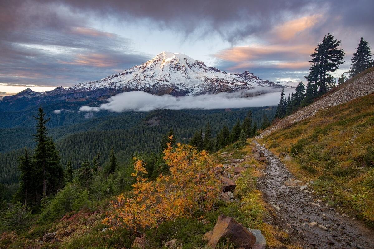 Mount Rainier National Park under purple and orange clouds.