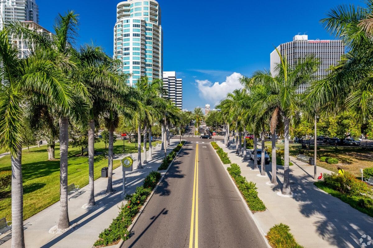 Palm trees line the roads in Downtown St. Petersburg.