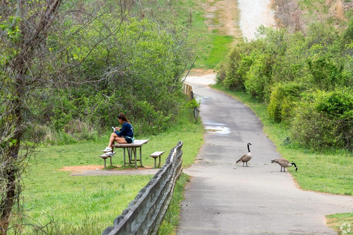 Person sitting on a picnic table next to a paved path with geese.