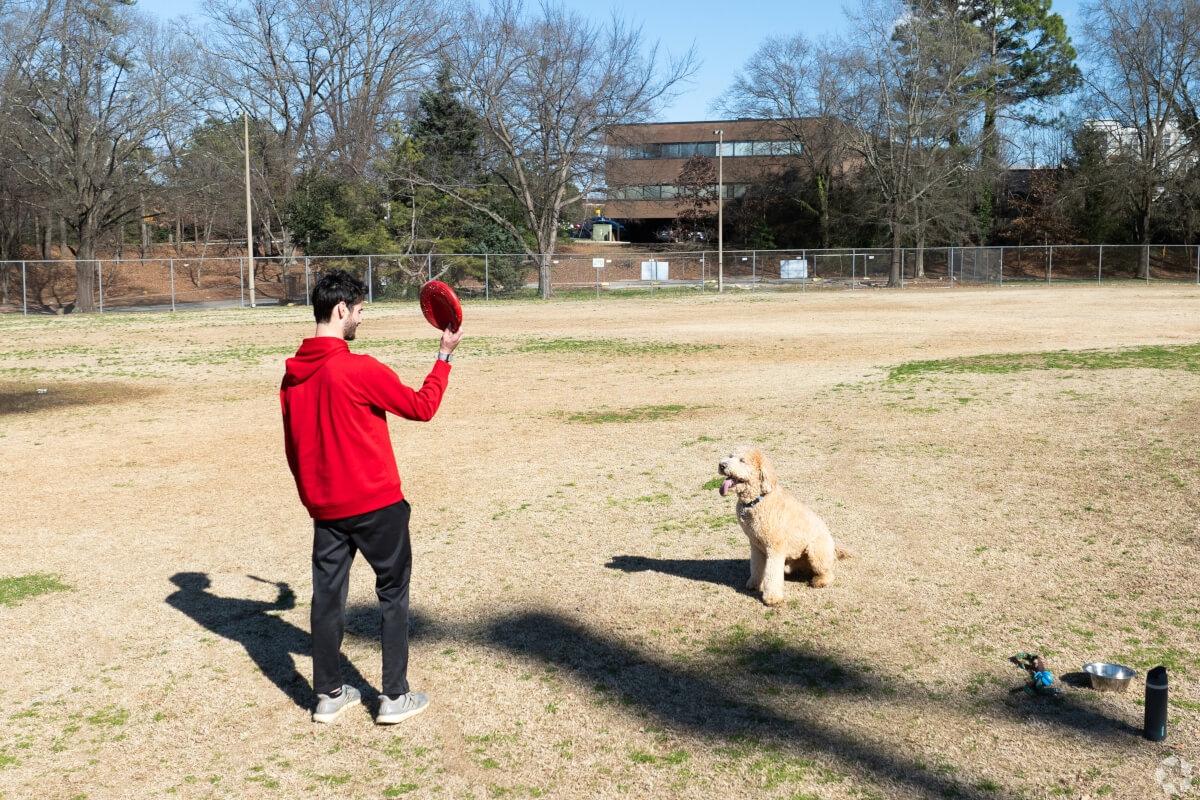 Person playing fetch with their dog in a field.