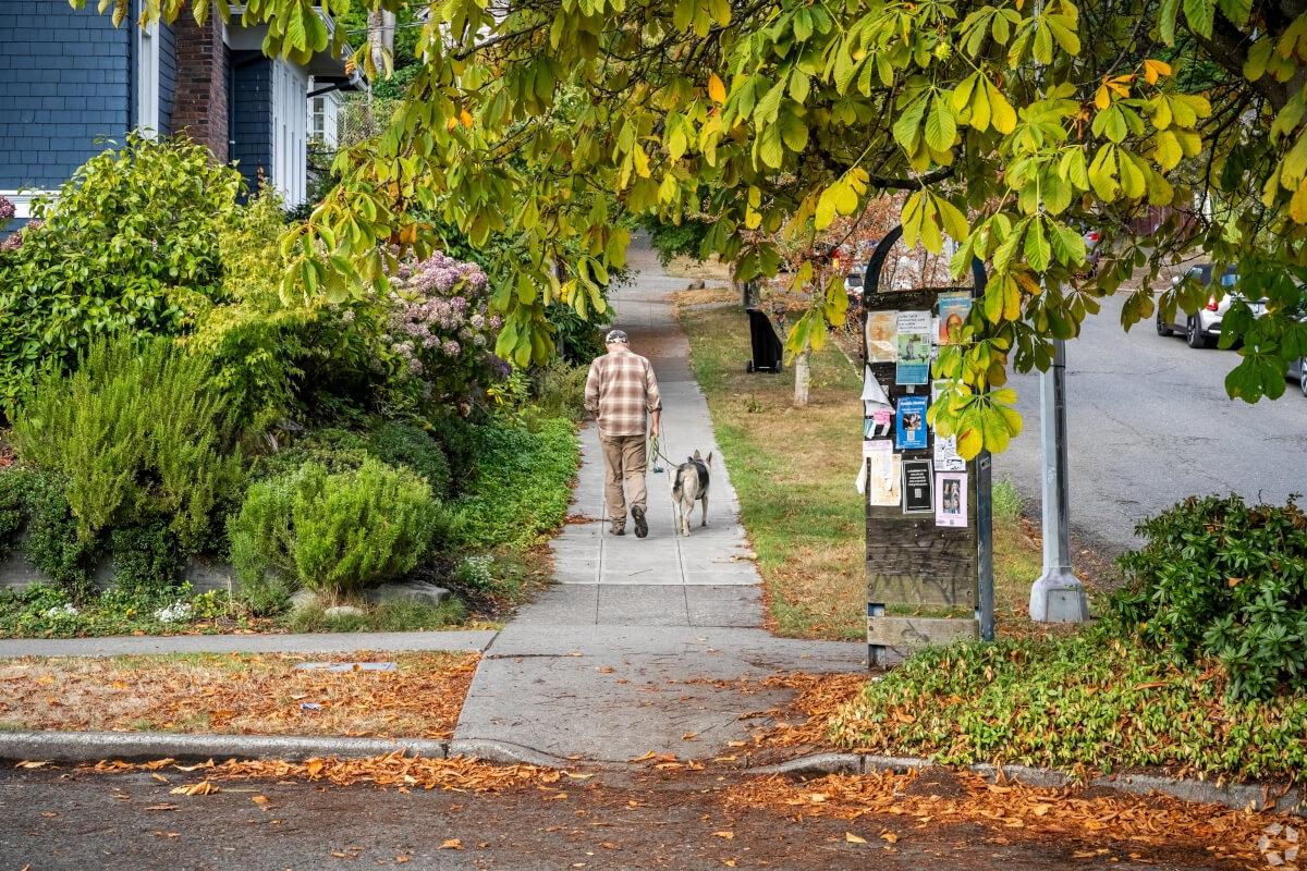 Neighborhoods in Capitol Hill have well-maintained and spacious sidewalks for walking your dog.