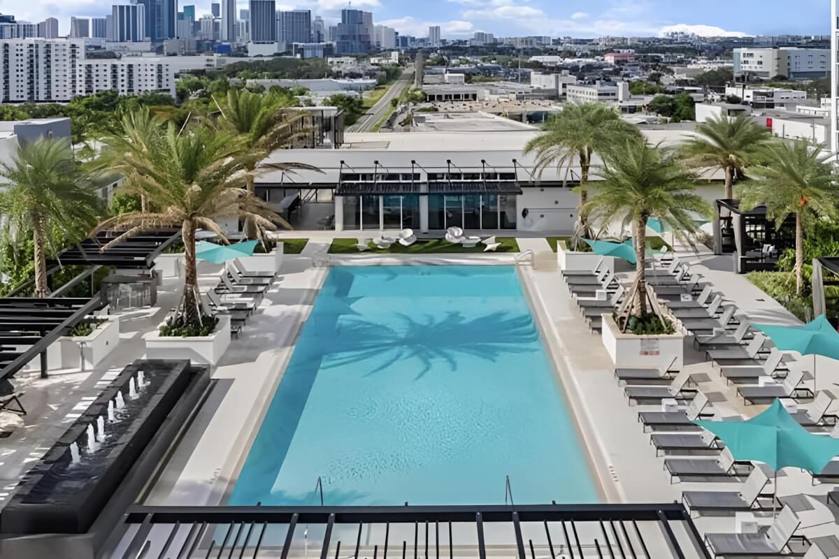 A rooftop pool is shaded by palm trees on both side.
