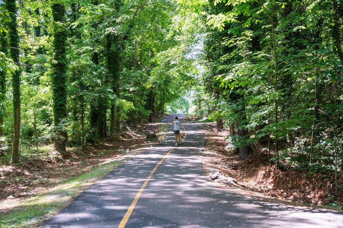 Person walking their dog on a paved path through the forest.