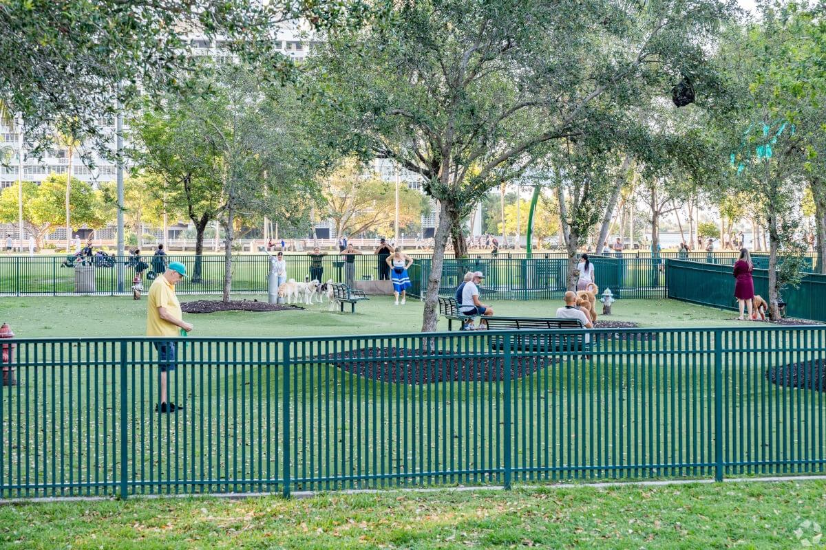 Dog park is filled with dogs and their humans