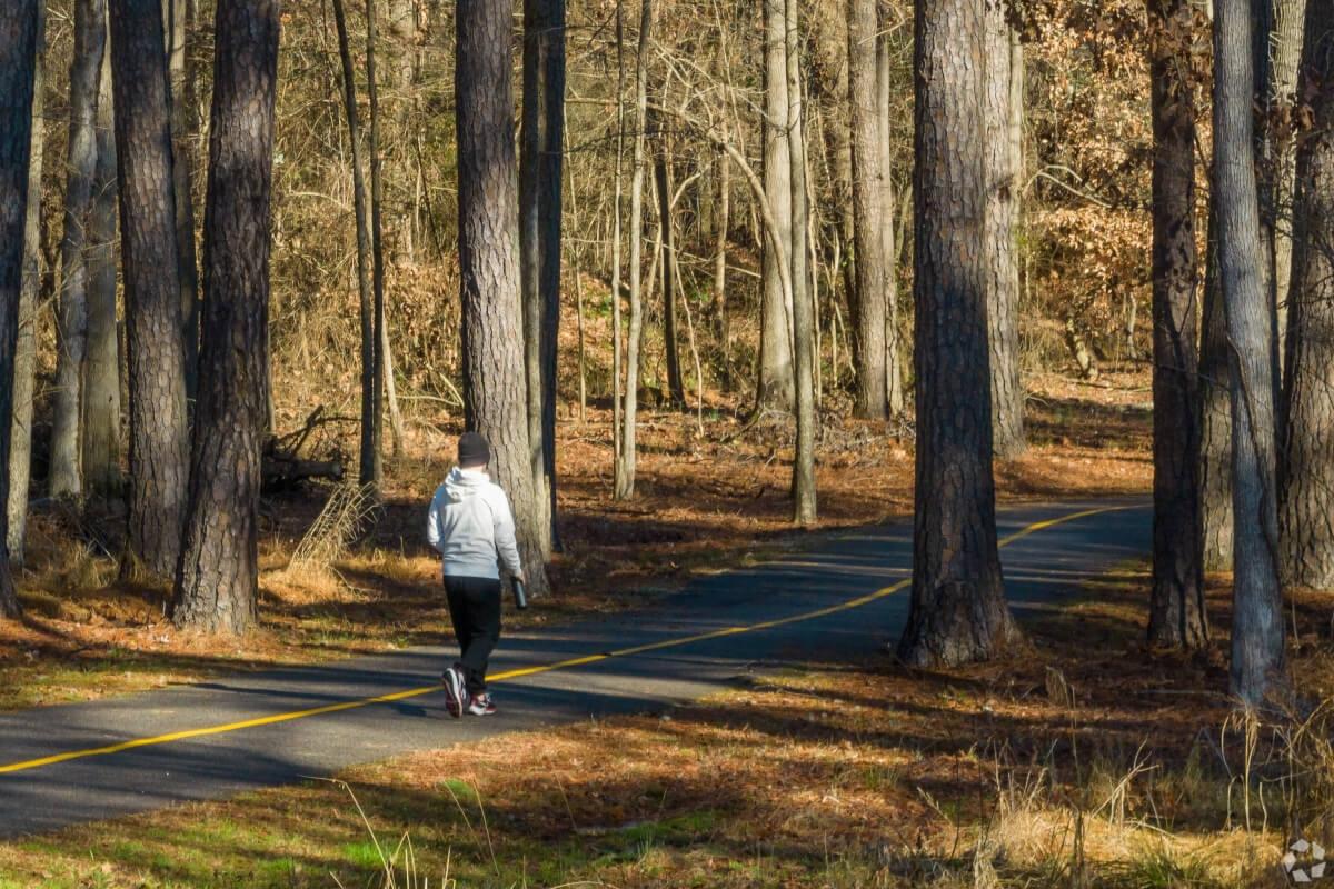 Person walking on a paved trail through the woods.