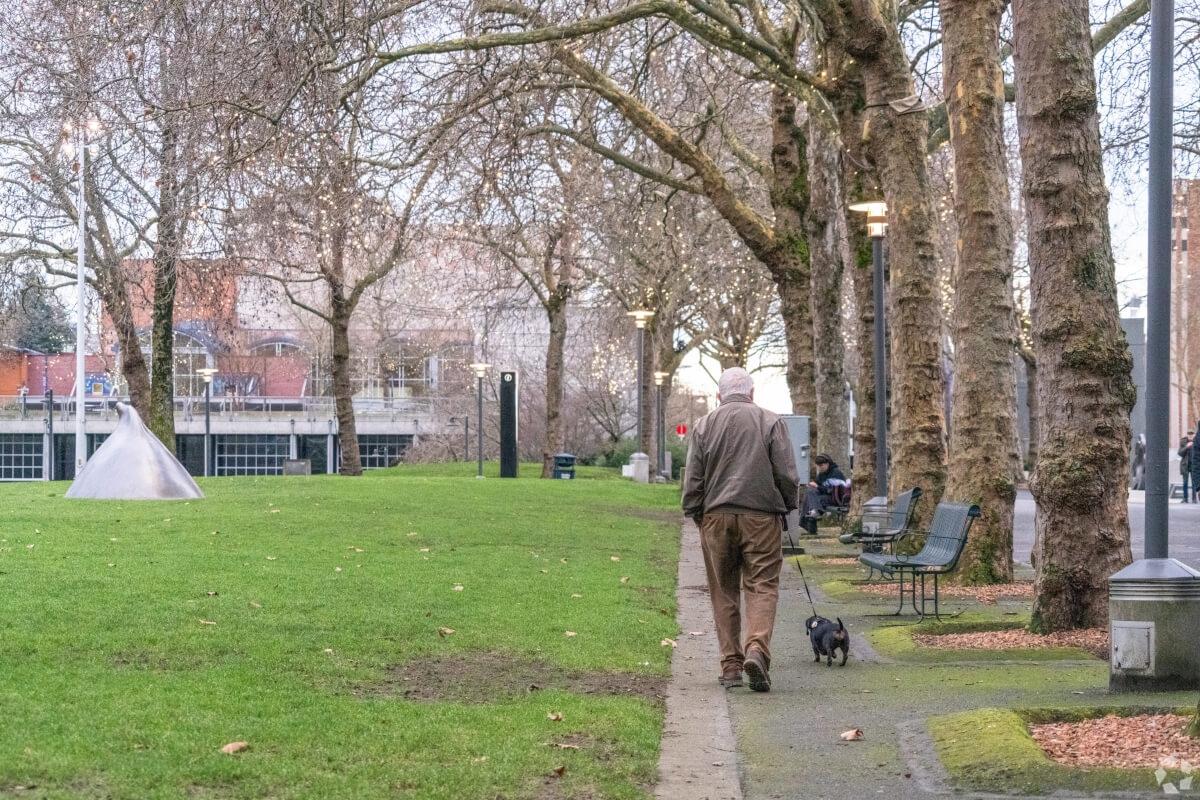 The many parks in Lower Queen Anne are a great place to walk your dog.