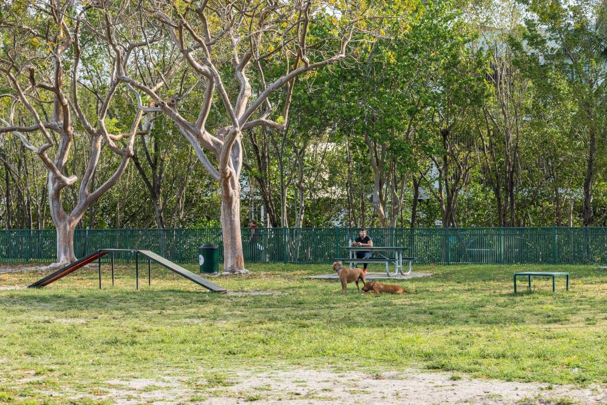 A dog is lying down and taking a break in a dog park as another stands next to it.