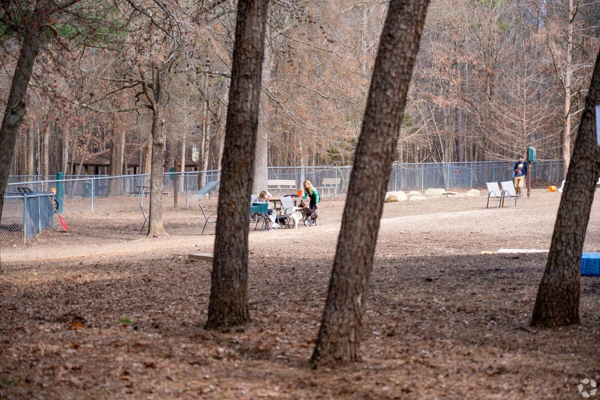 Dog park with a couple of trees and dogs running about.