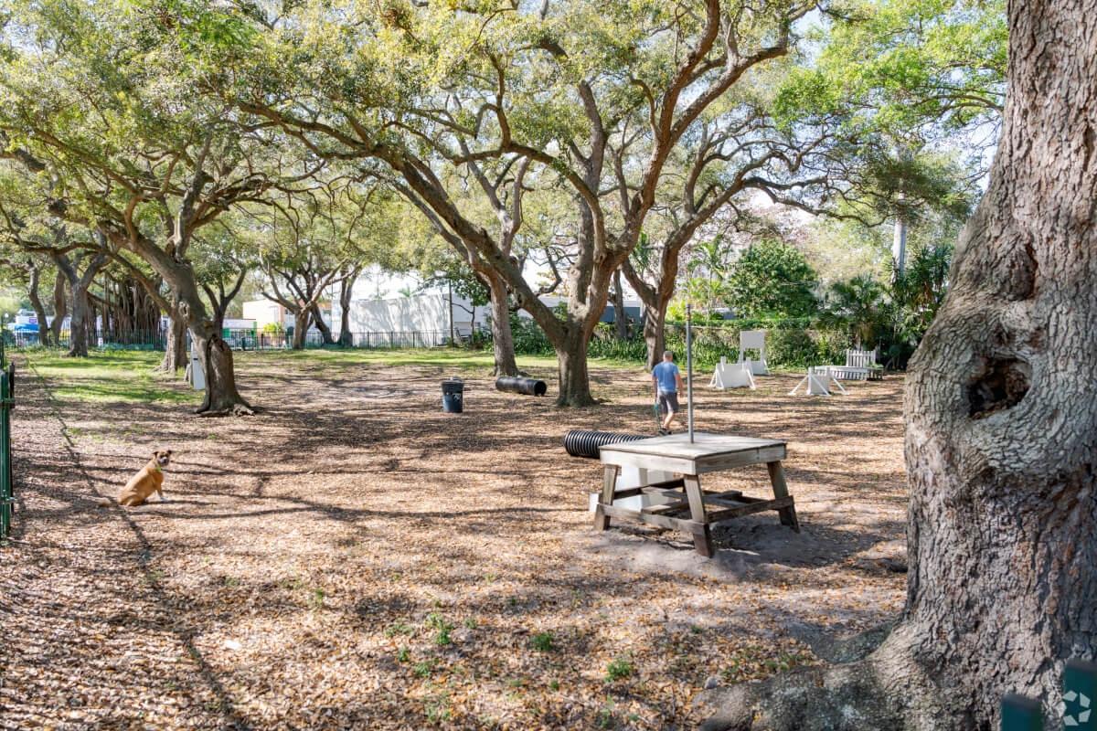 Dog is sitting in a dog park as their human walks around.
