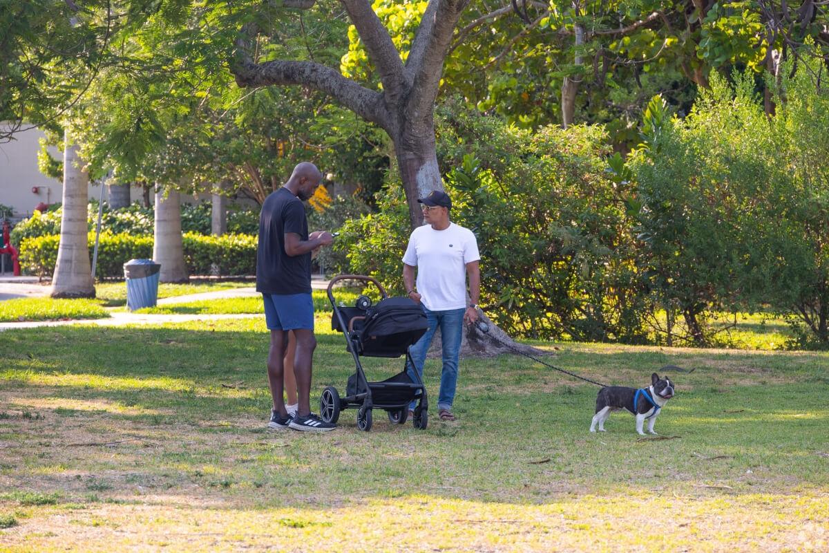 Two people walking their dog on grass in a park.