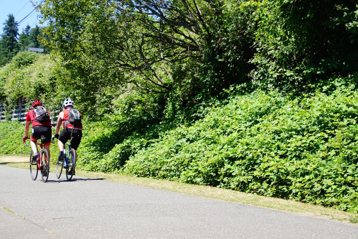 Bikers on the bike trail