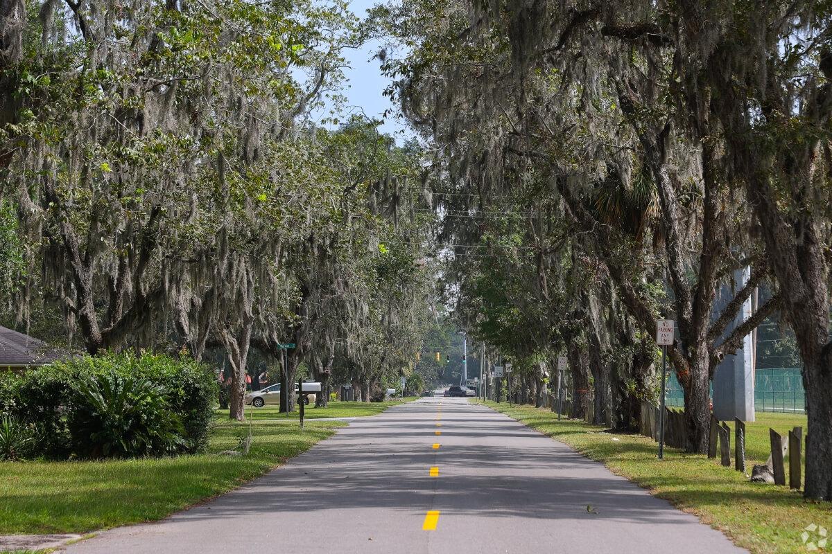 Photo of Spanish moss trees that flood into Highland Parks streets.