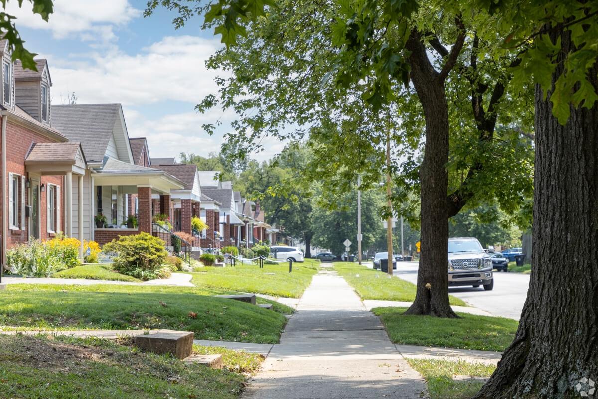 A tree-lined street of houses in Taylor Berry