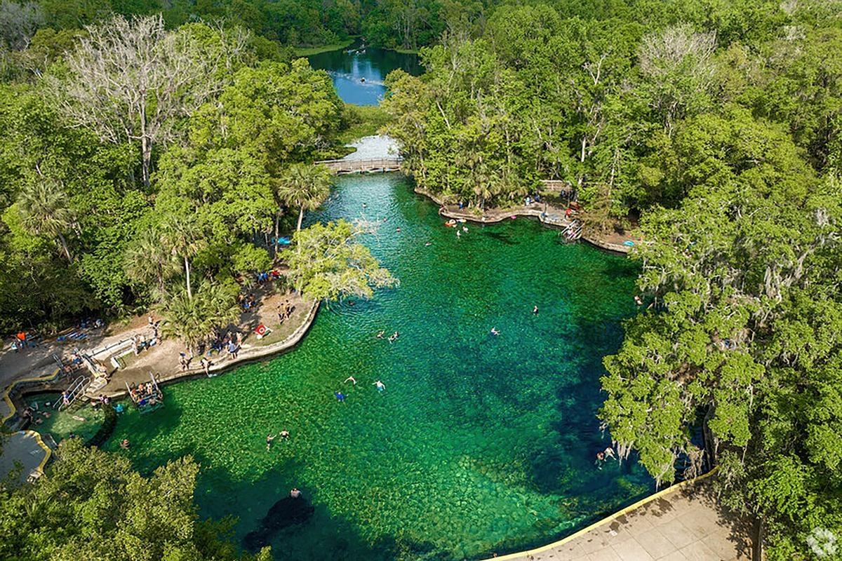 Aerial view of Wekiwa Springs' crystal-clear swimming hole surrounded by lush forest, a natural getaway close to apartment living in Central Florida.