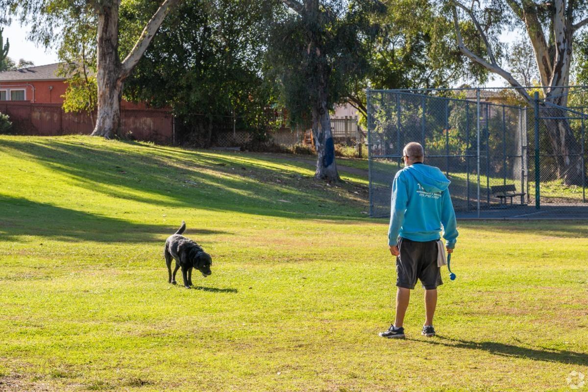 Man playing fetch with a dog at Azalea Park in San Diego.