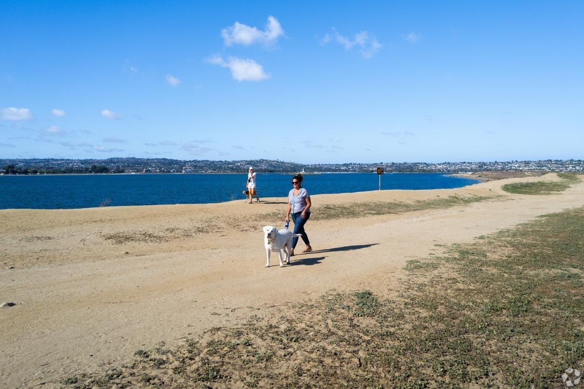 Woman walking dog along scenic coastline trail at Fiesta Island in San Diego.