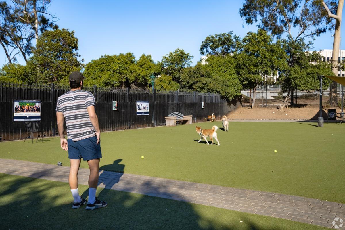 Dog park in Little Italy, San Diego, with residents and pets enjoying open artificial turf.