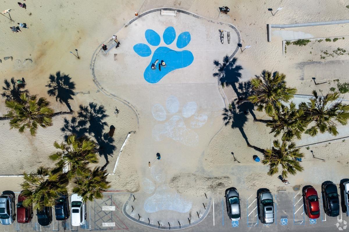 Iconic paw print plaza at Ocean Beach Dog Park in San Diego.