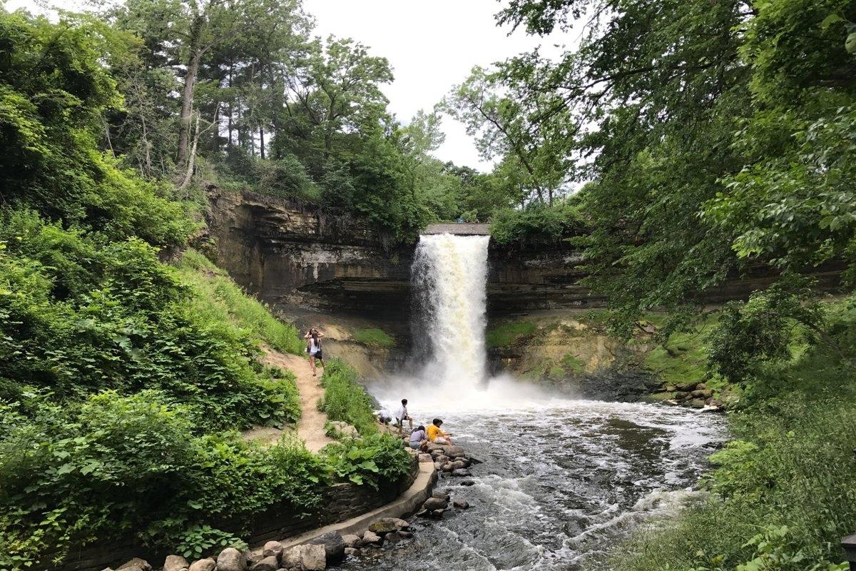 A rushing waterfall surrounded by tall green trees and foliage