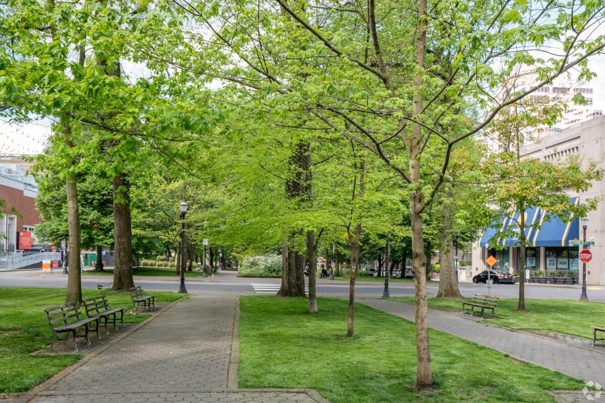Trees reach over cobbled walkways in South Park Blocks.