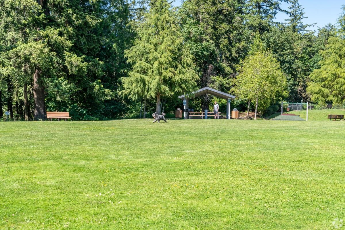 Person lets their dog run free at Jackie Husen Park.