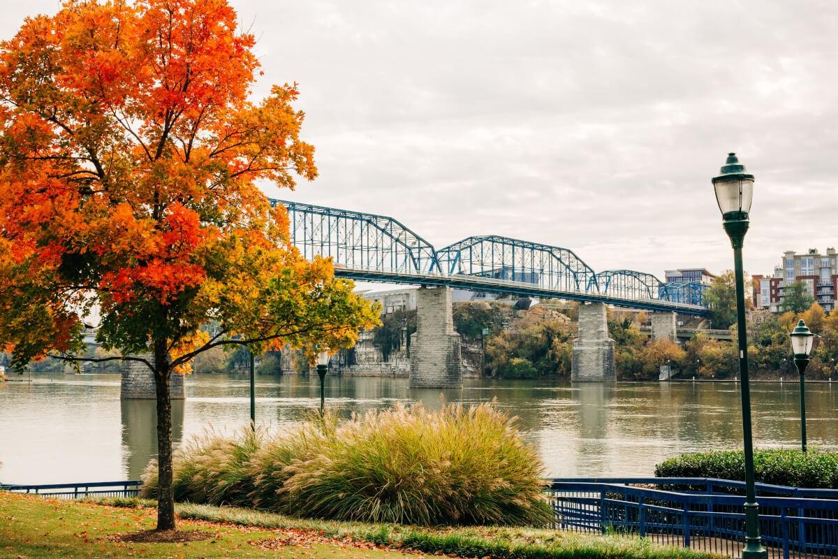 Walnut Street Bridge in Chattanooga, TN during the fall.