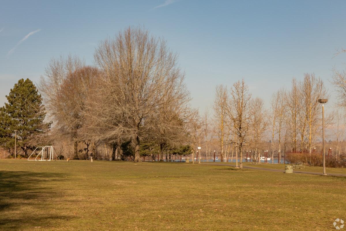 People let their dogs off leash in parks.