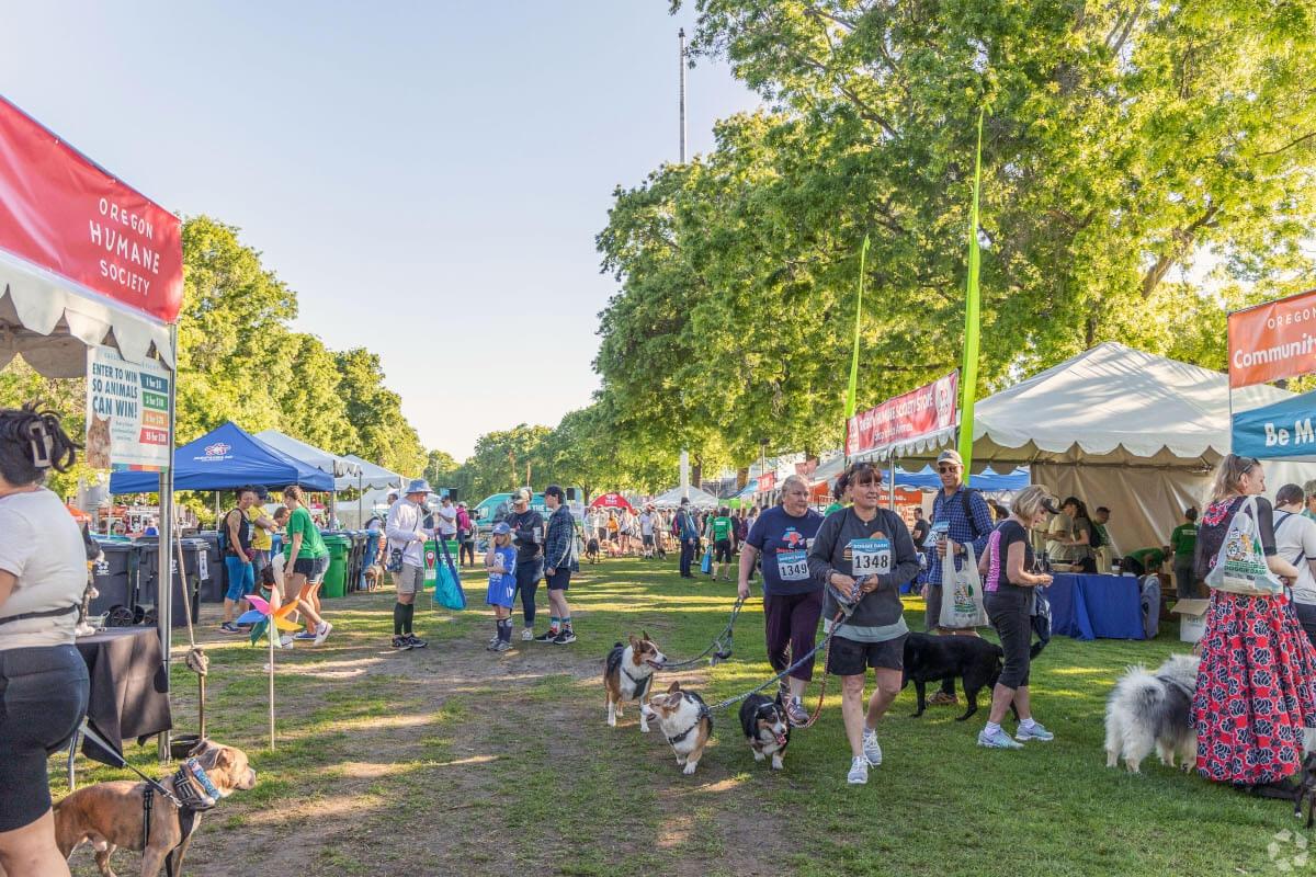 People gather with their dogs before a race.