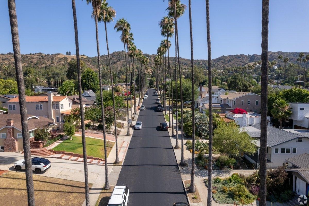 A long paved street lined with very tall palm trees