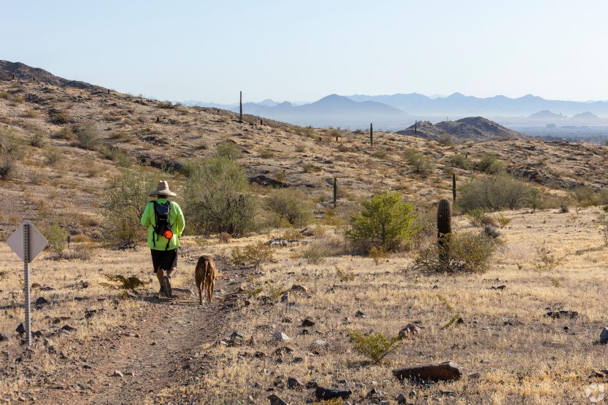 South Mountain offers unparalleled views of the Phoenix area, near Baseline Corridor.