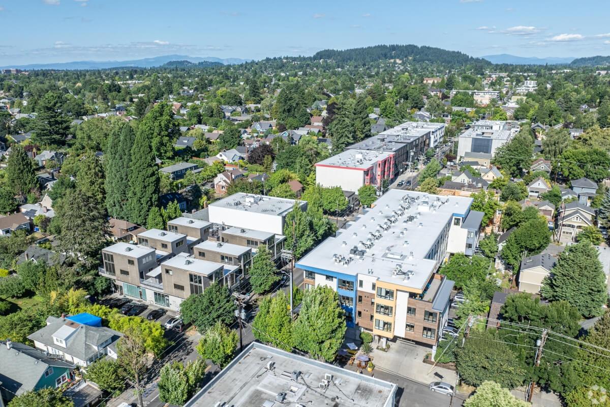 Tree-filled neighborhood with Mount Tabor in the background.