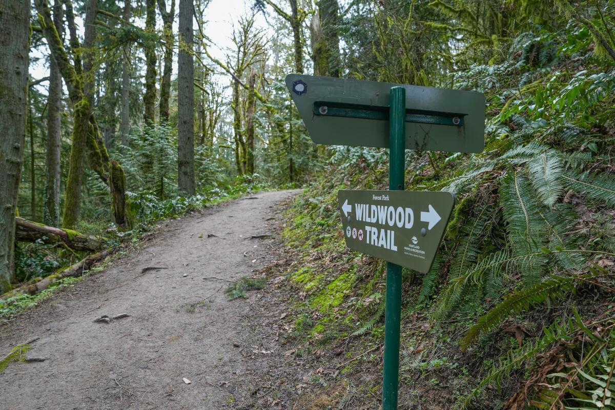 Sign showing the Wildwood Trail in Forest Park.