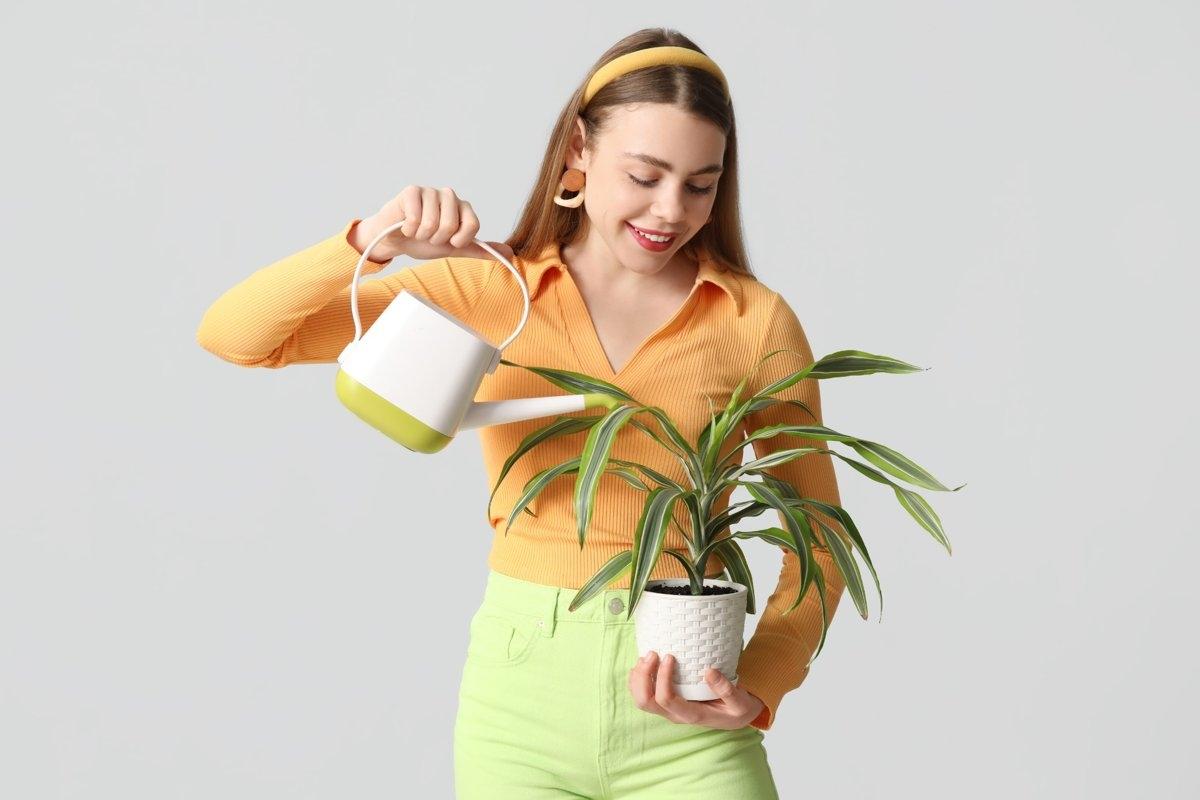 A girl in bright clothing using a watering can to water a house plant.
