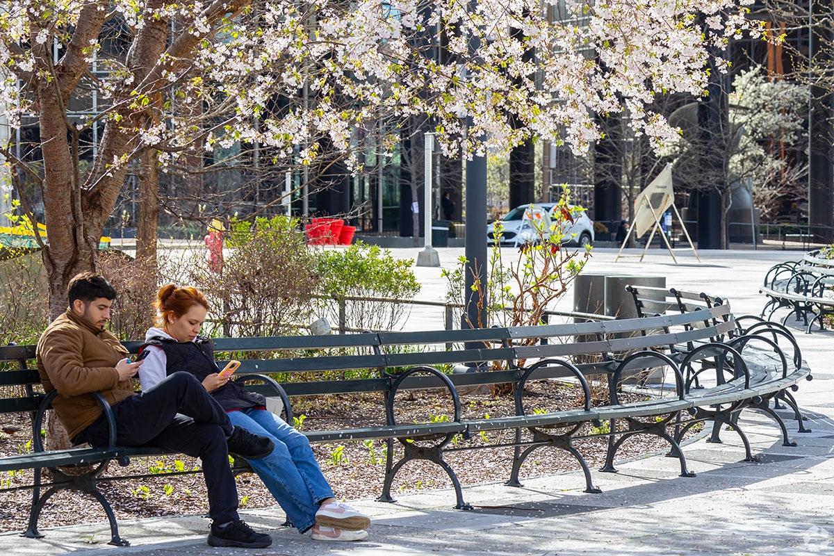 Residents sit along tree-lined streets in Convention Center.