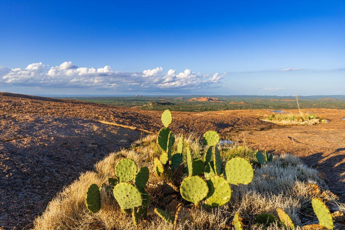 Aerial view of cacti and the valley in Fredericksburg, TX