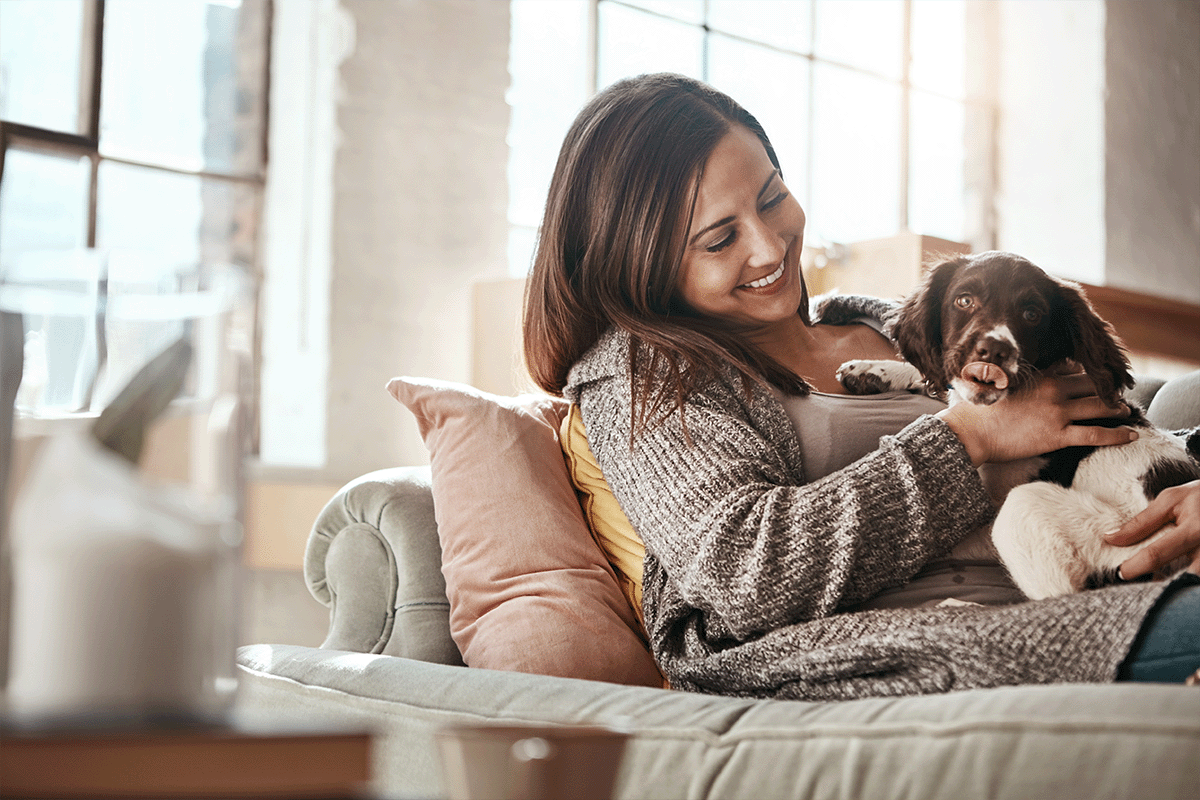 Renter with English Spaniel
