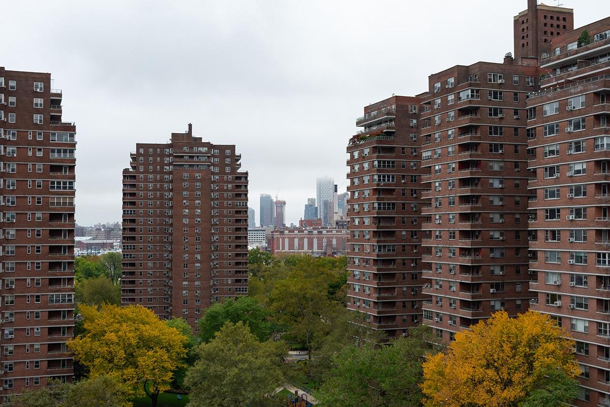 Trees cover the bases of apartment communities in NYC.