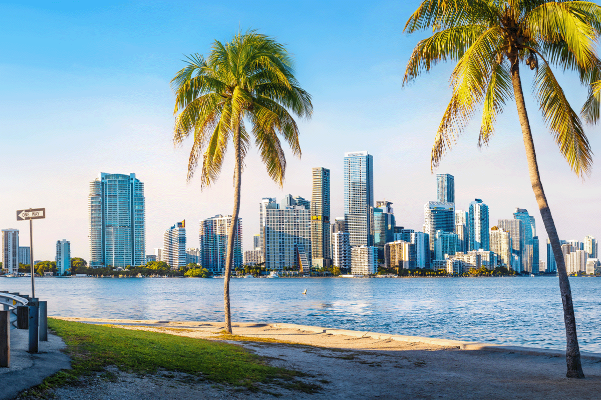 Miami Skyline