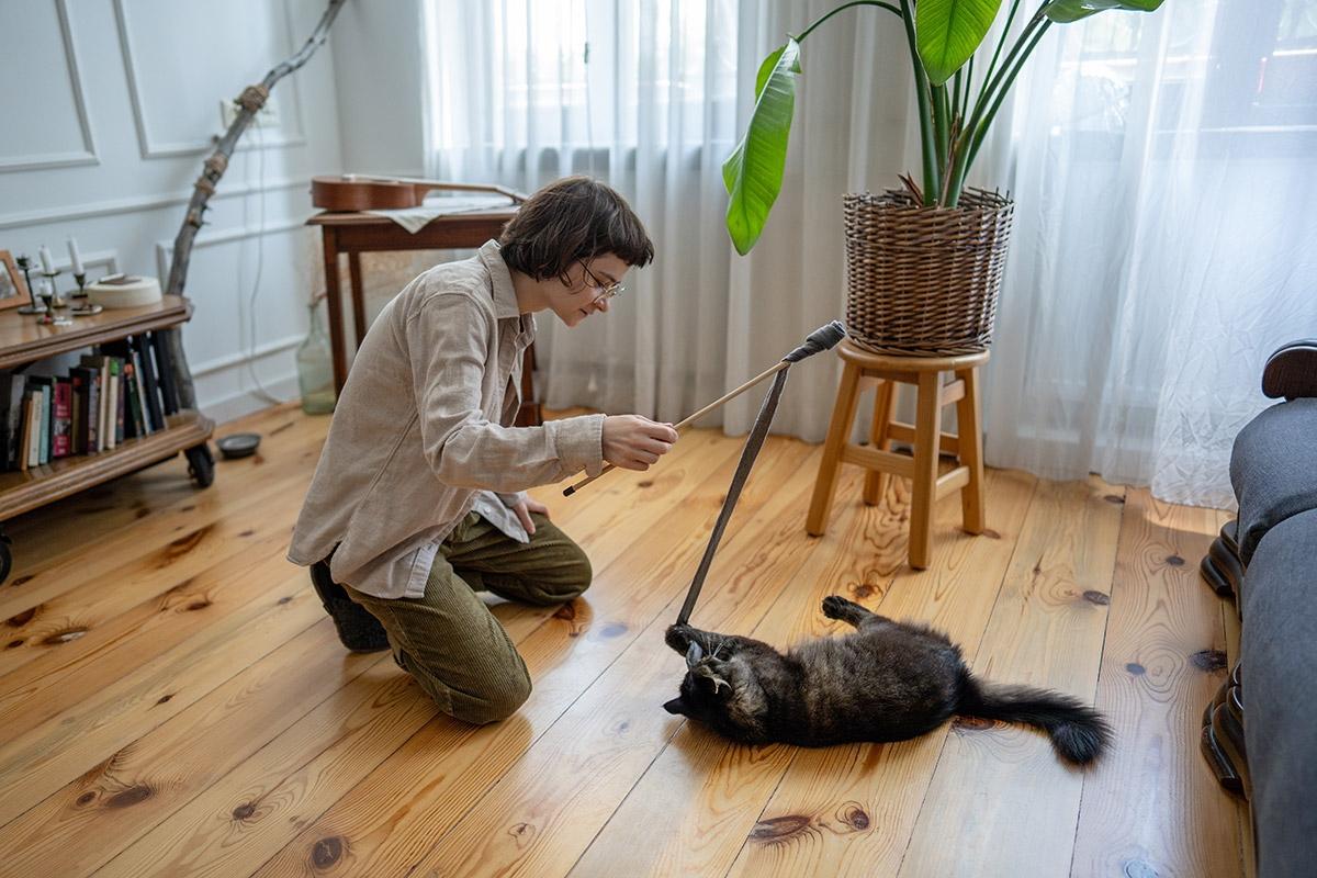 Pet sitter playing with cat in an apartment.
