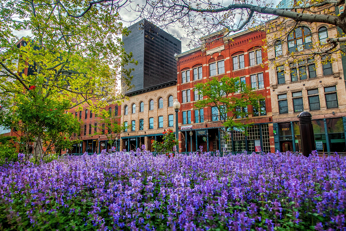 Denver Downtown
