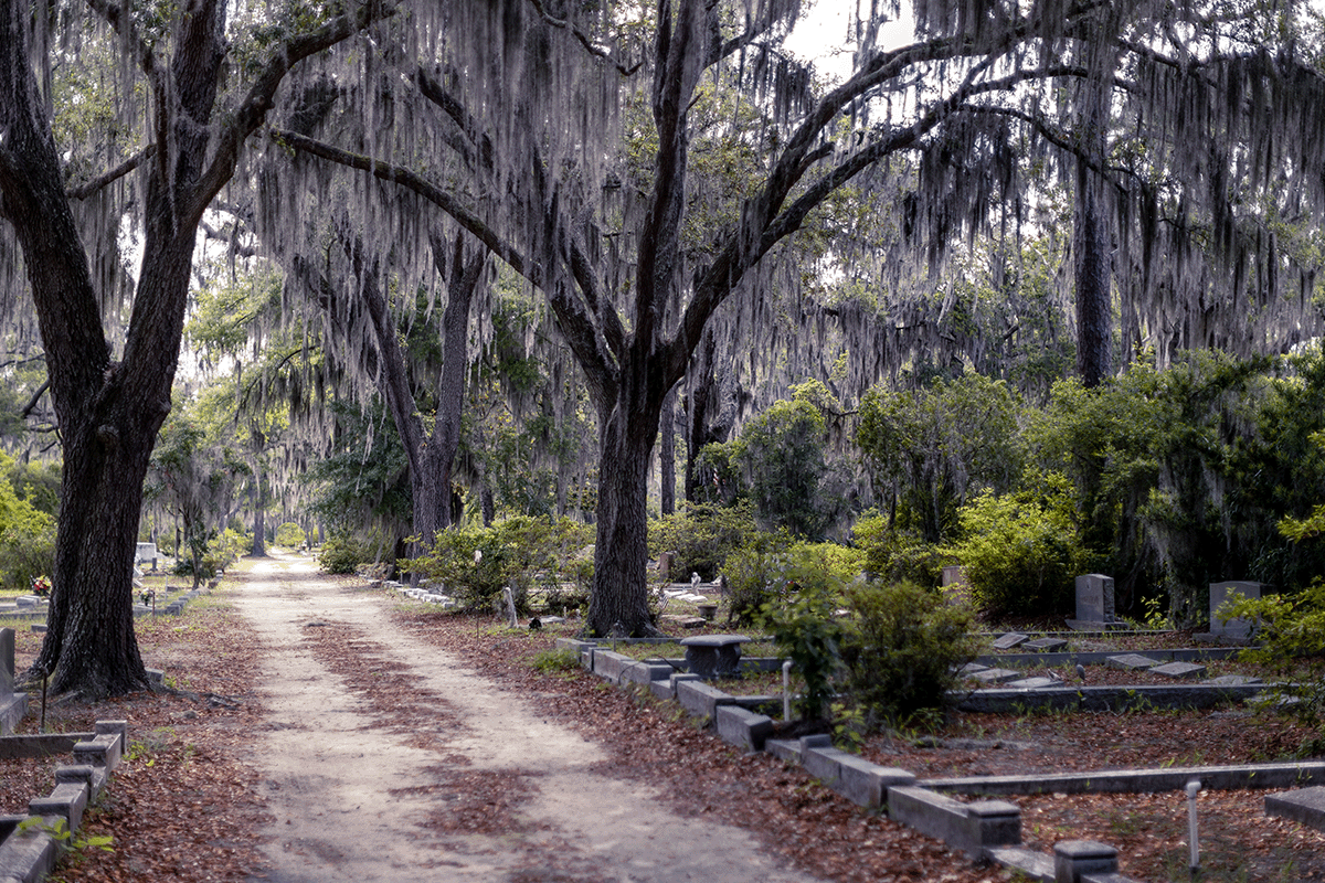 Cemetery in Savannah, Ga